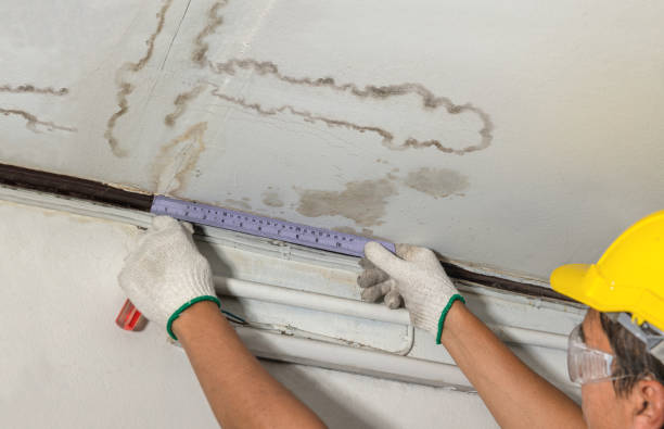 Reliable Water Damage contractor in Spencer, MA by Water Damage Irwin